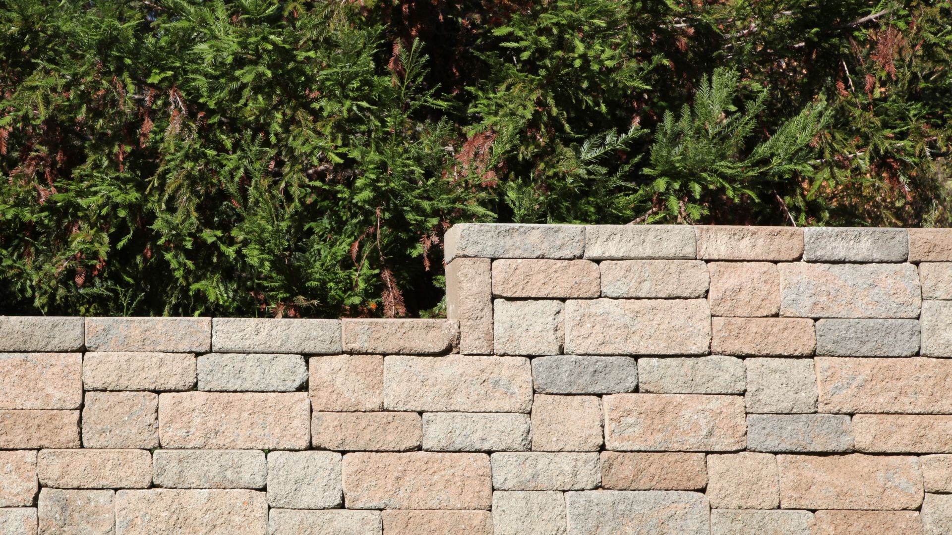 A man riding a skateboard on top of a brick wall